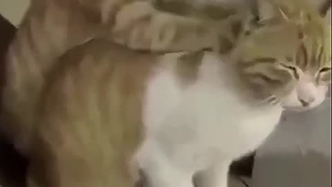Now I would like too