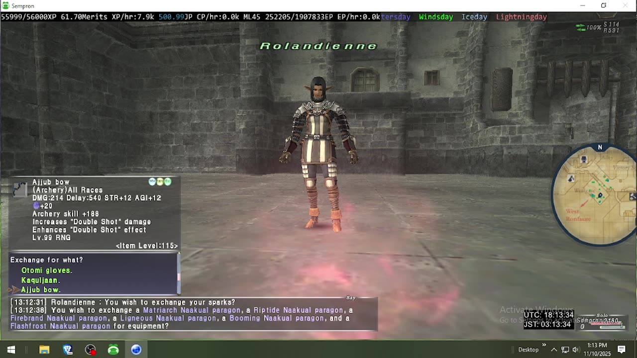 Playing Final Fantasy XI Online