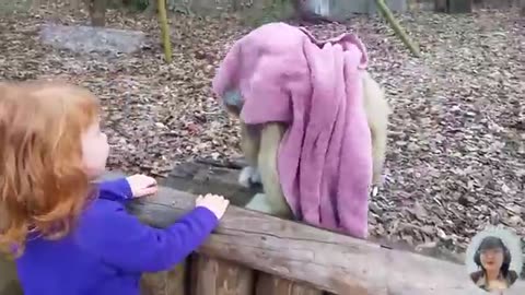 babies & Animals playing