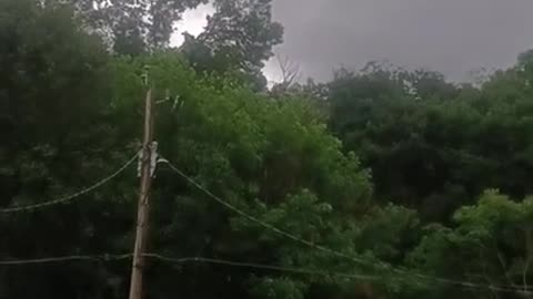 Close encounter with the wedge tornado of 2019