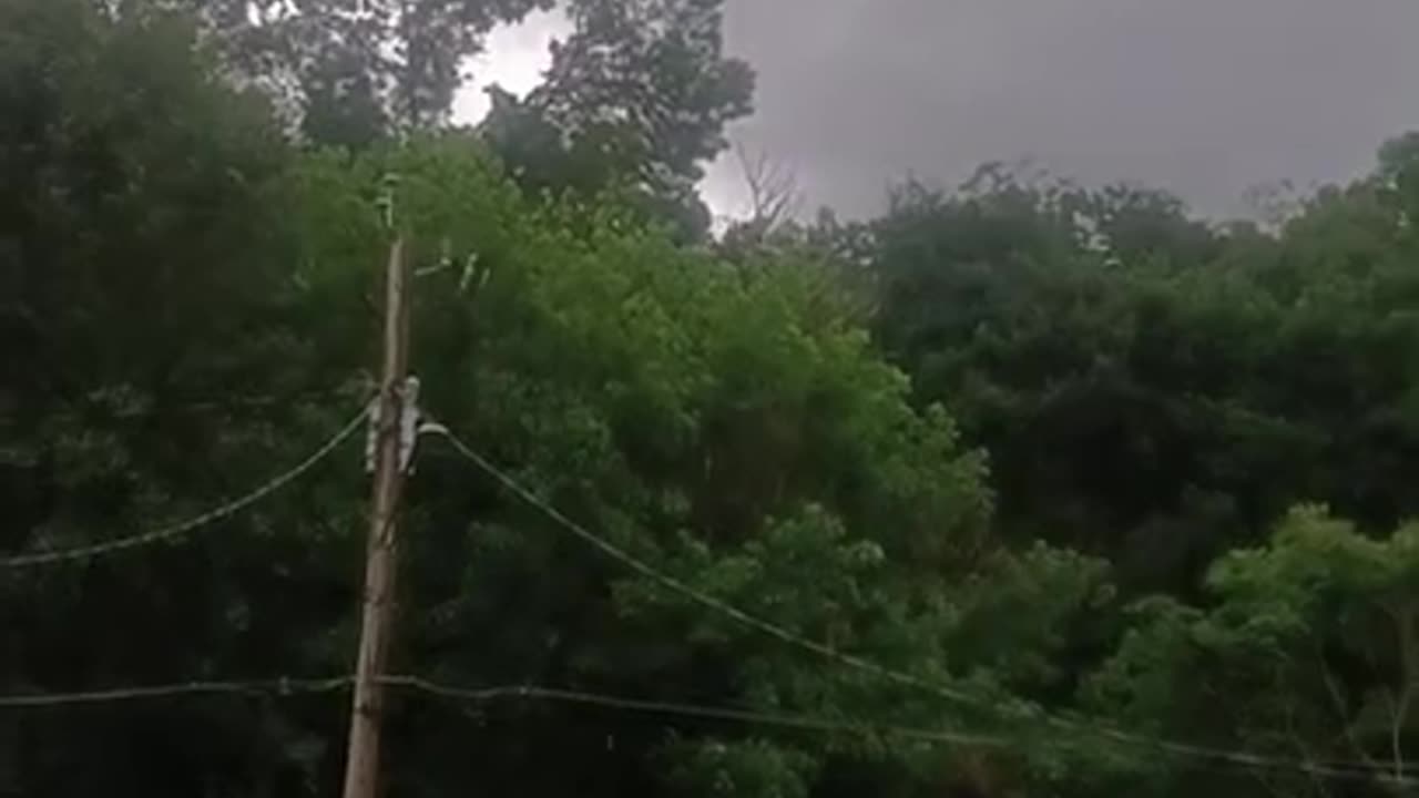 Close encounter with the wedge tornado of 2019