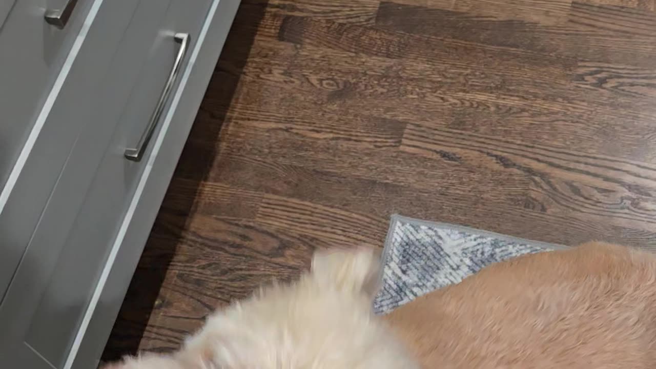 Berkeley meet Frankie