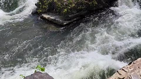 Shenandoah River