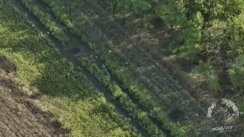 Ukraine war footage 10/29/25