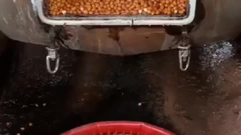 "INSIDE the SNACKS FACTORY: The Fascinating Salted Peanut Making Process Revealed!"