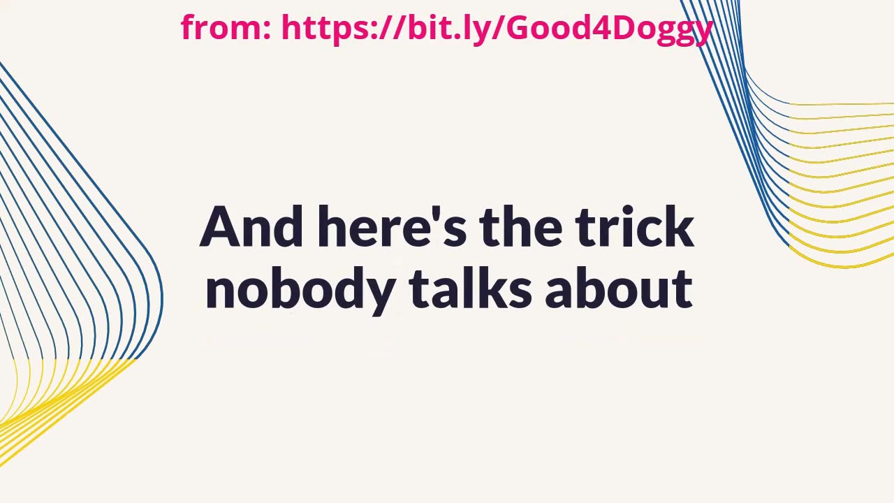 Dog Owners Shocked After Learning Effective Strategies for Reducing Dog Shedding at Home