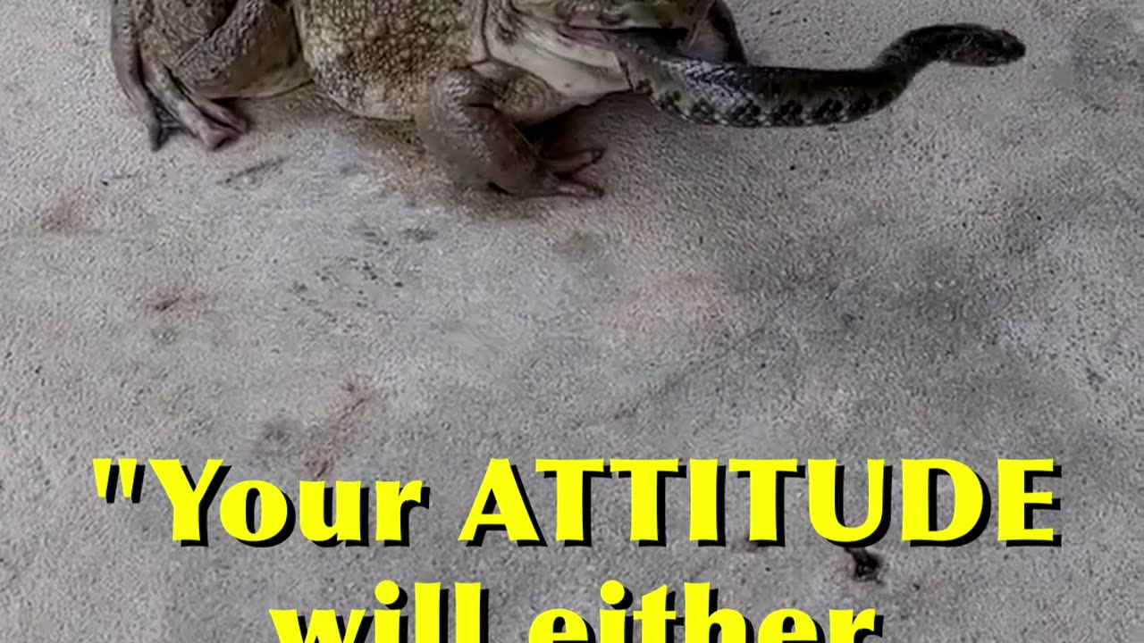 Your Attitude Matters