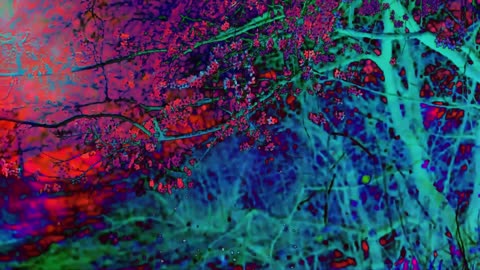 Haunted Earth (short poem)