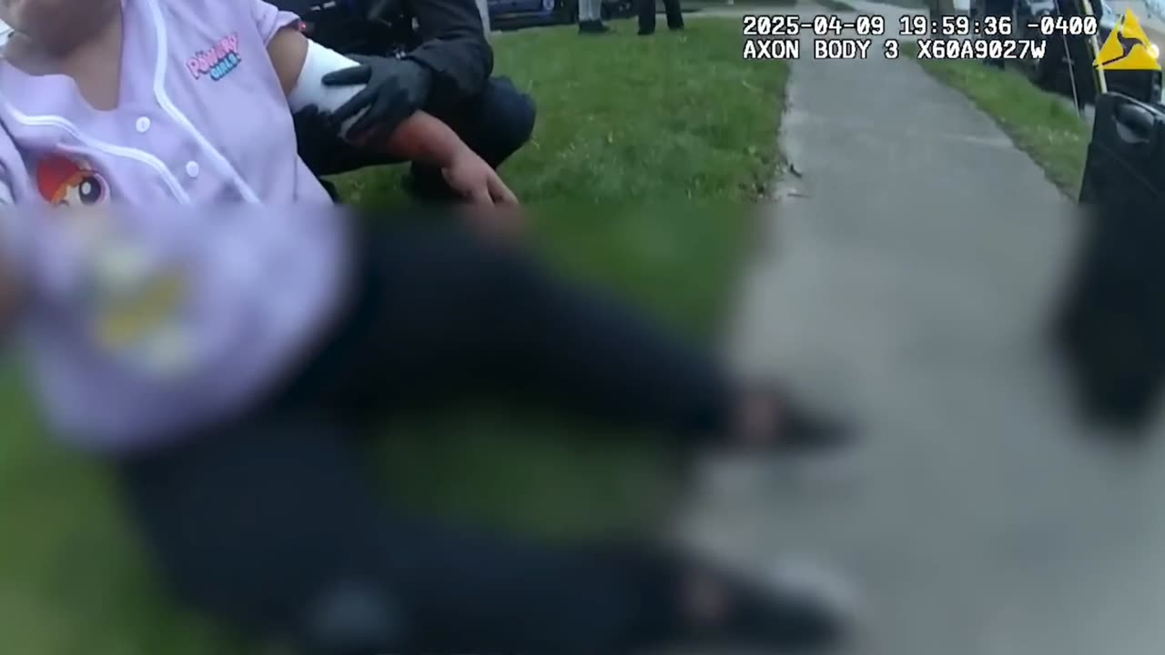 They Fought Once… and It Ended Like THIS 😢