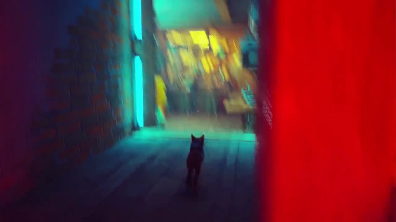 Stray ps4