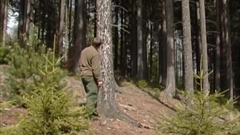 Viktor Schauberger - Comprehend and Copy Nature