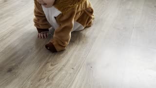 Baby Kayla Dressed as a Lion for Halloween | Adorable Costume Clip