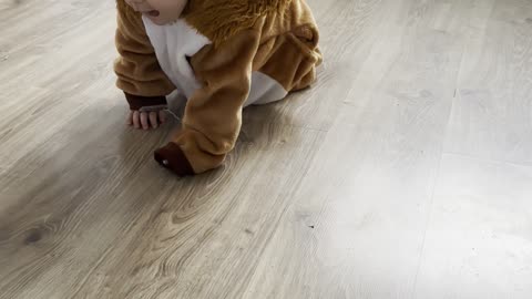 Baby Kayla Dressed as a Lion for Halloween | Adorable Costume Clip