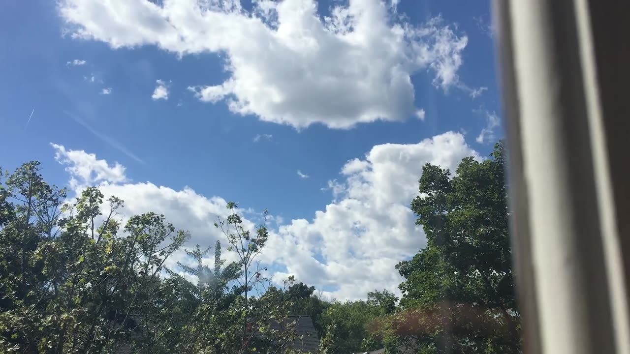 My Two Favorite Parks