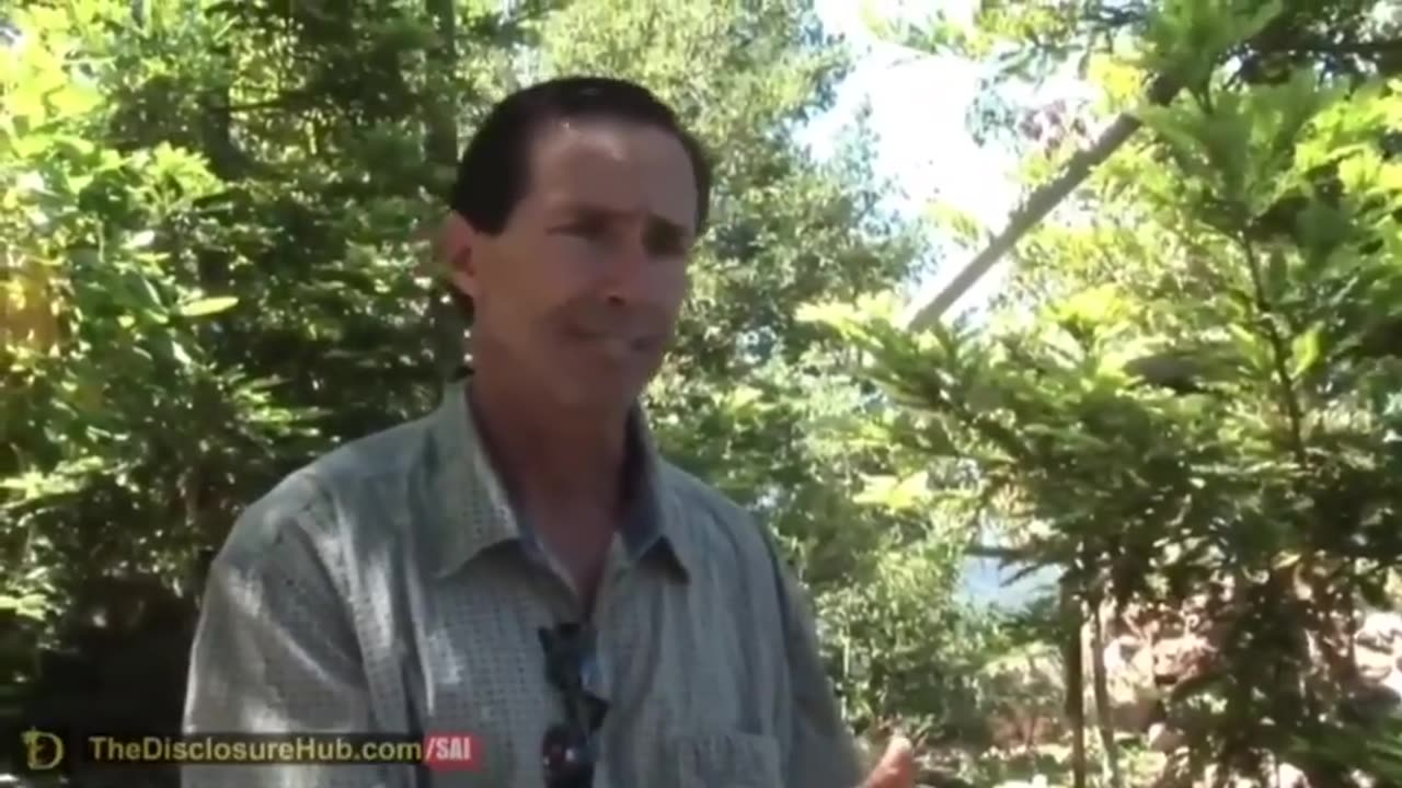 CHEMTRAILS ARE NOT CONTRAILS