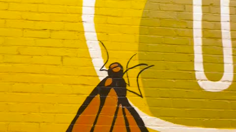 😢👀 You Won't Believe How He Finds Out the Truth! | FunFM