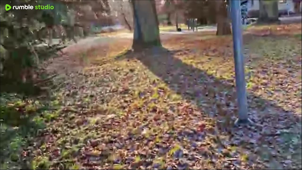 Promenad på väg hem från centrum i Örebro.