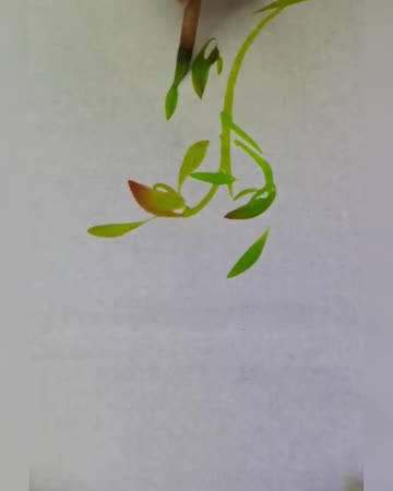 easy nature drawing painting | acrylic painting | nature drawing