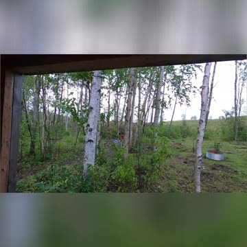 Back Room Build_ Day 2 Progress - Rafters, OSB, and Rainy Weather!#livingoffgrid