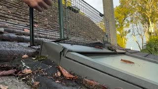 😂💨 The Epic Chase to Catch the Culprit! | FunFM