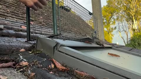 😂💨 The Epic Chase to Catch the Culprit! | FunFM