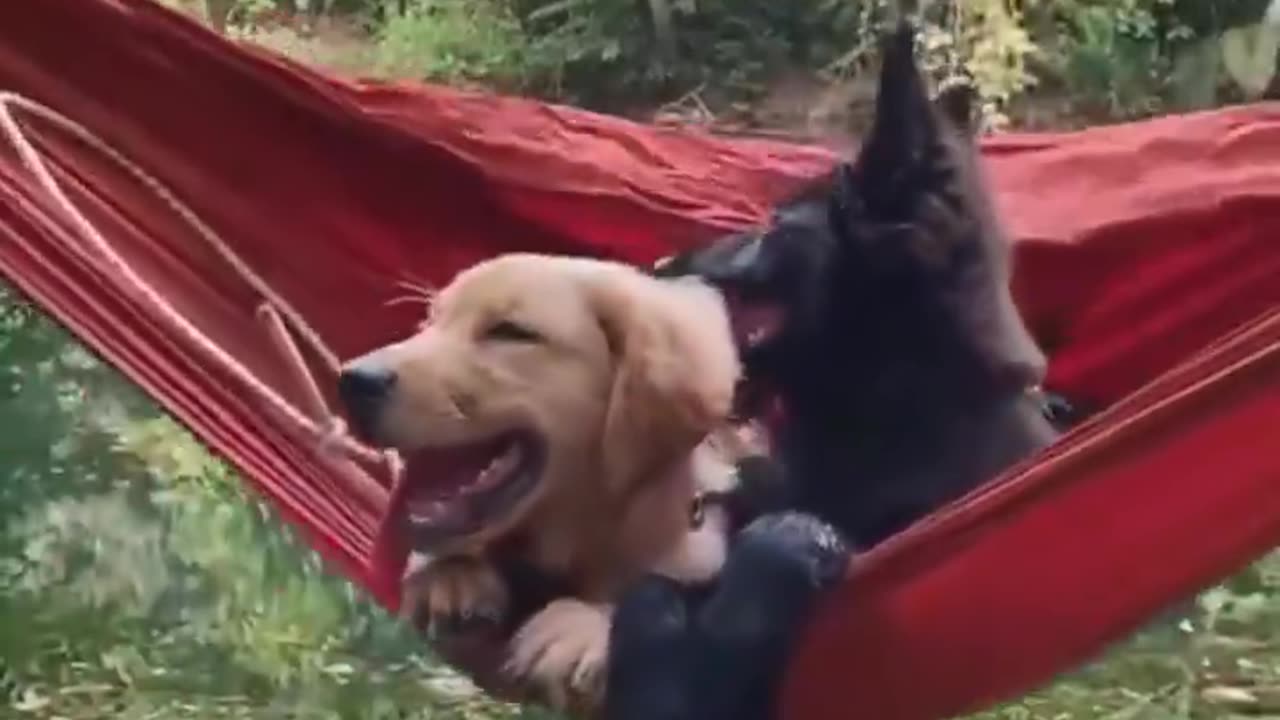 Living the best life.. 😊