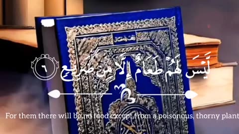 Jaza kallah ♥️✨
