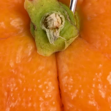 Orange stem in macro