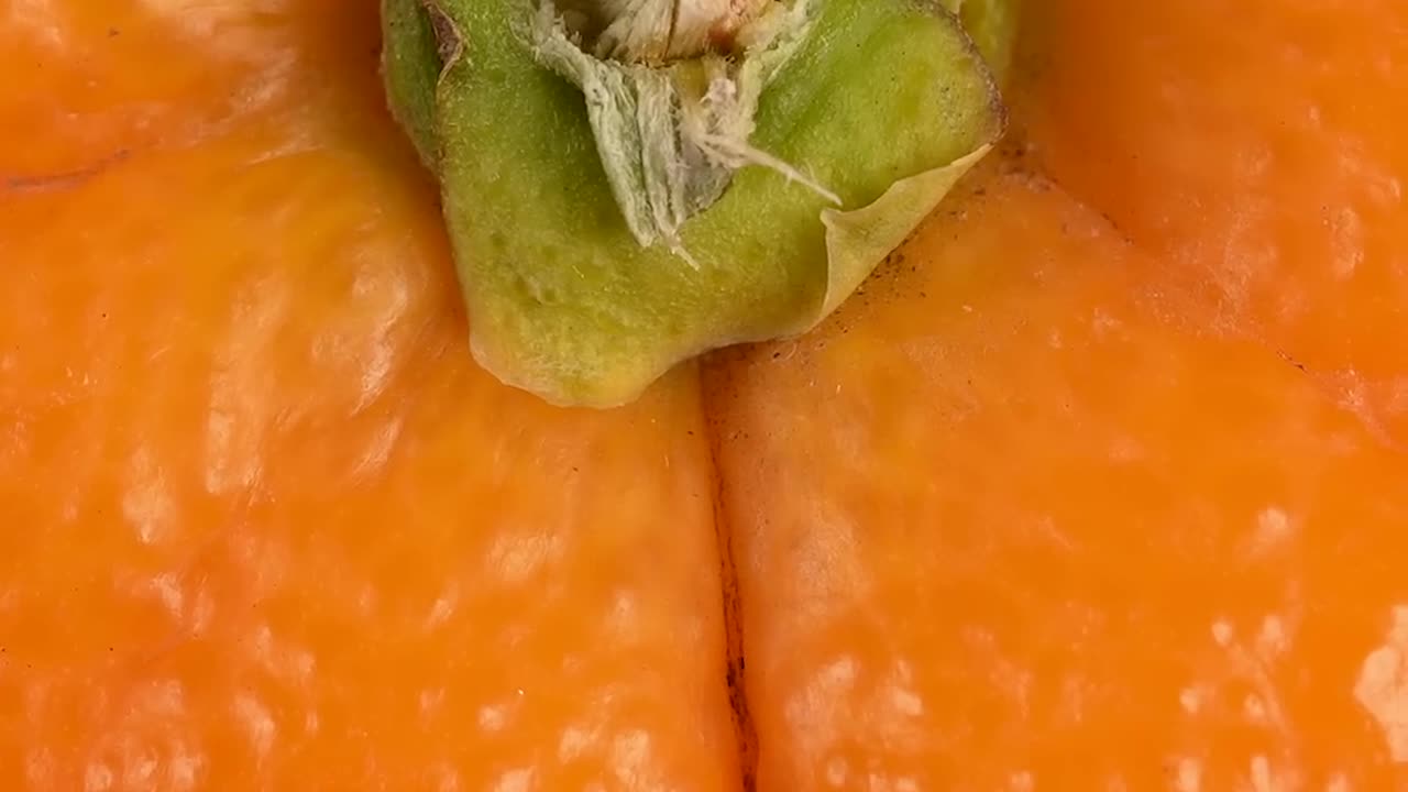 Orange stem in macro