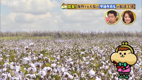 有吉のお金発見 突撃！カネオくん 絶賛フワフワ進化中！タオルのお金のヒミツ