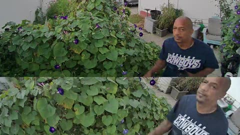 Doorbell Camera Catches Irate Neighbor Making Vulgar Threats