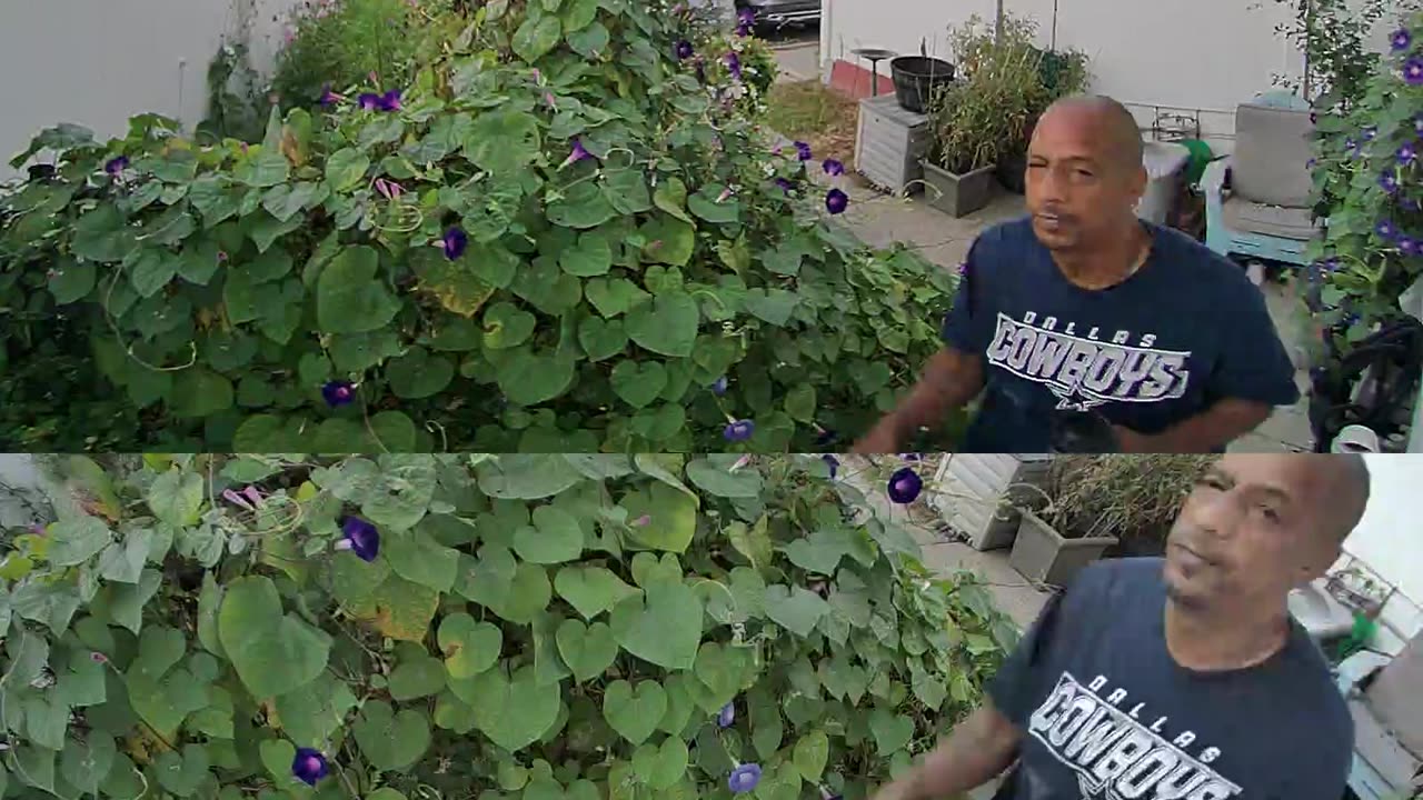 Doorbell Camera Catches Irate Neighbor Making Vulgar Threats