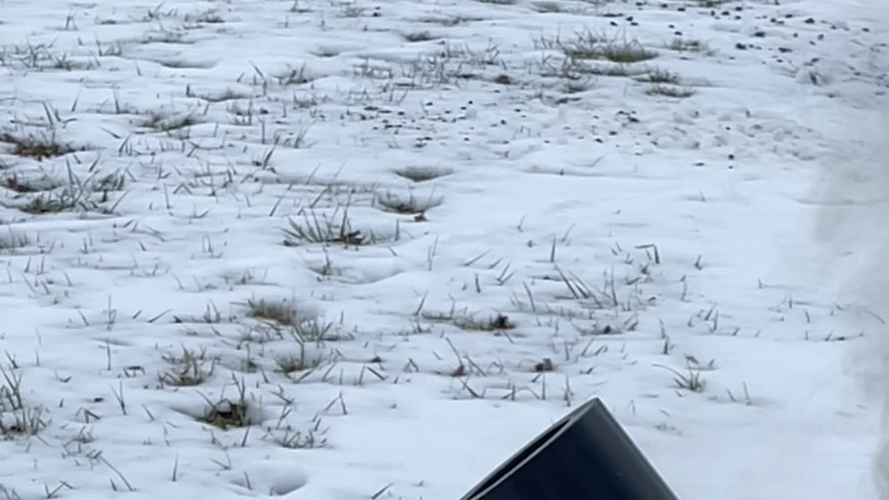 another cold mortar slo mo