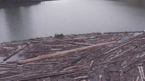 North Fork Reservoir 12-29-25