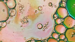 What Are Stem Cells? with Dr. Nathan Newman