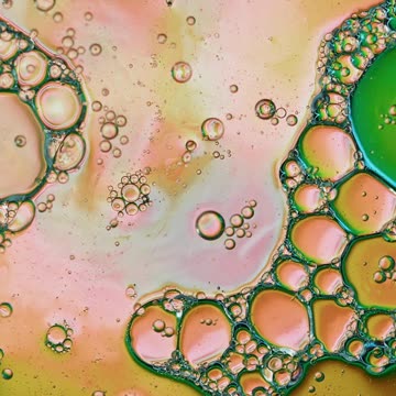 What Are Stem Cells? with Dr. Nathan Newman