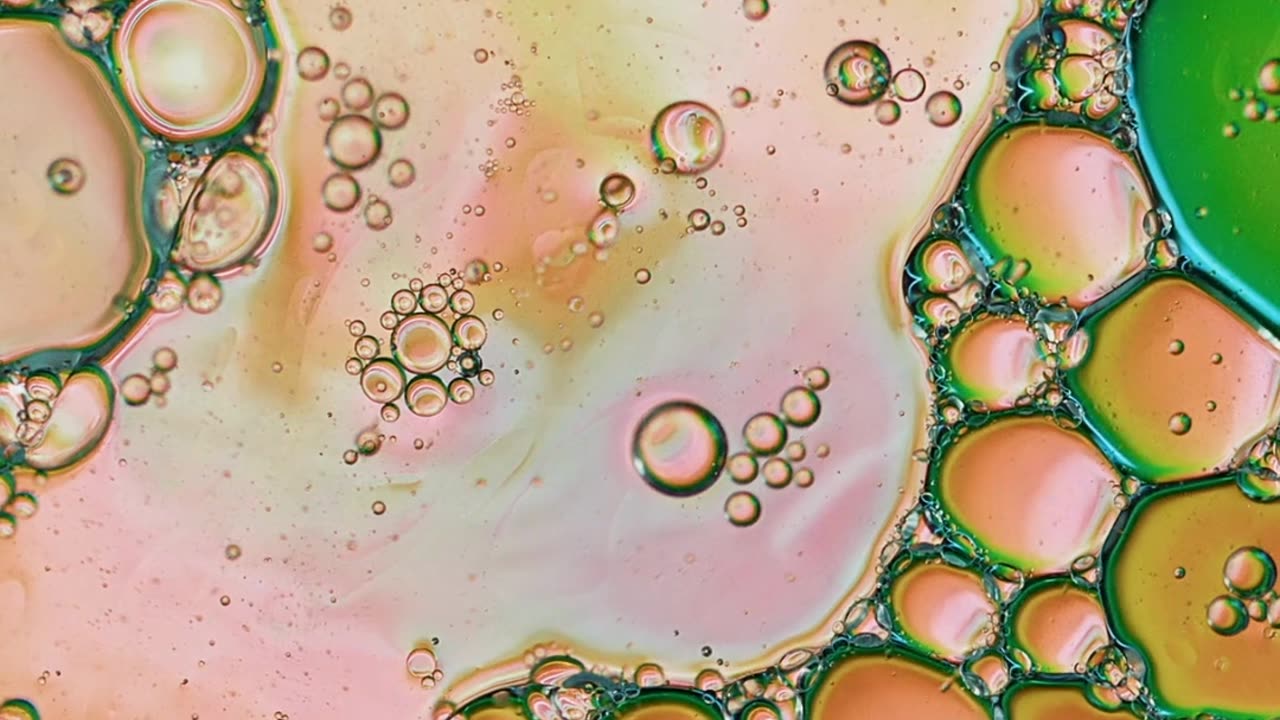 What Are Stem Cells? with Dr. Nathan Newman