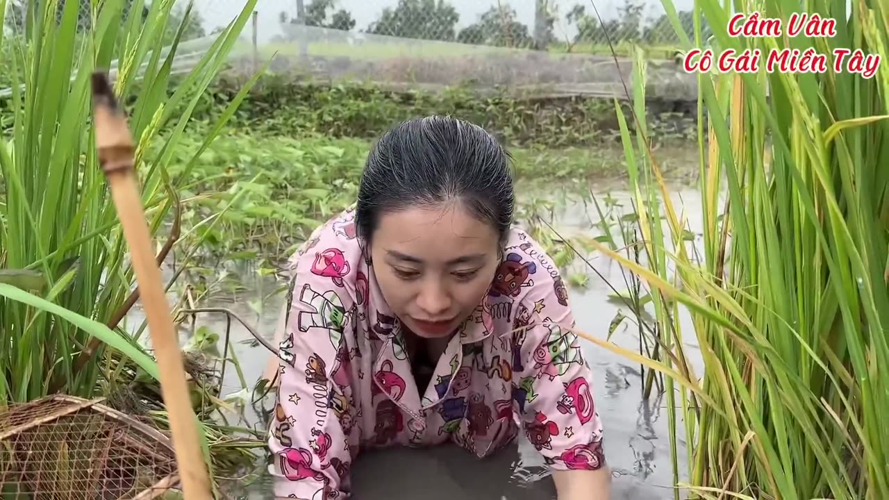 wild camping & swimming in dartmoor's ancient woods