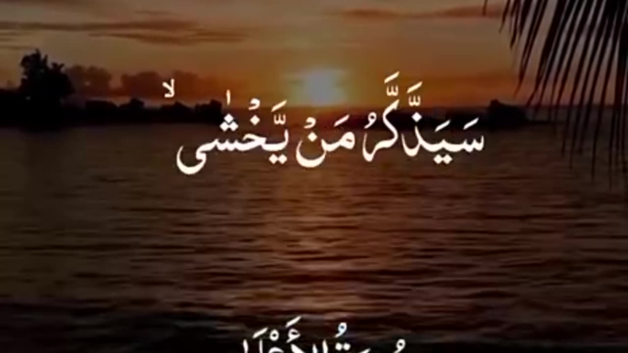Beshak 💯♥️✨🕊️