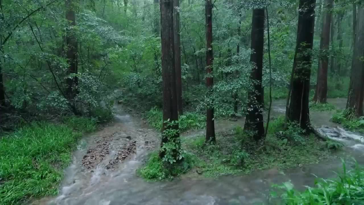 The streams and rain in the valley