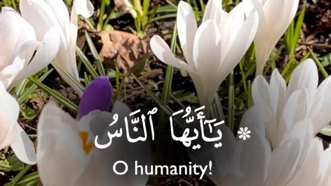 🔥Surah Fatir 35:15 سورة فاطر💫🌙 #viral #love #youtubeshorts #trending #quran #foryou #shortvideo