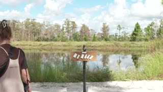 Governor DeSantis Highlights New Success in Removing Invasive Pythons from the Everglades