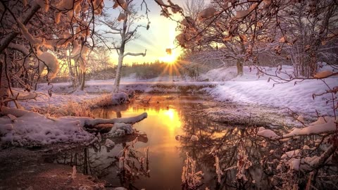 The Rocking Chair: Genesis 25 - The First Shall be Last and the Last shall be First!