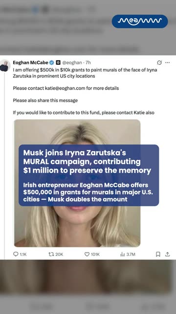 Elon Donates One Million To Lryna Project