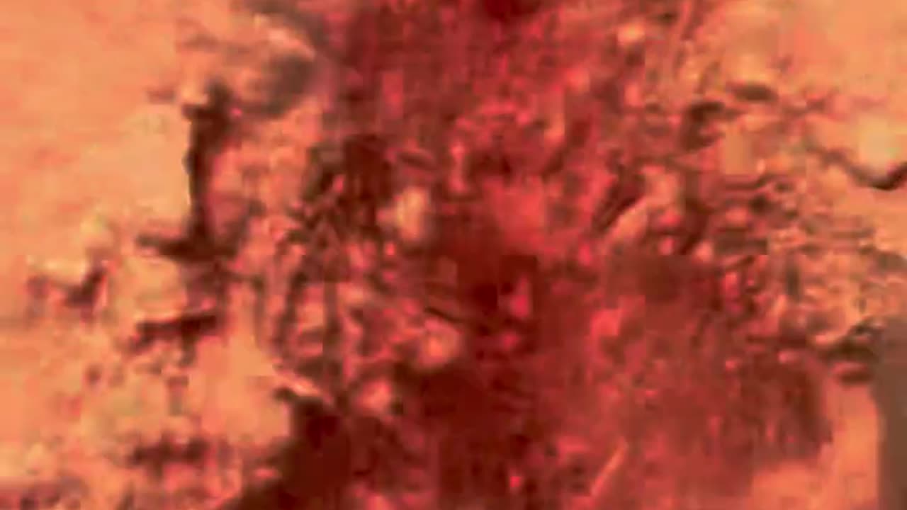 Breaking orange chalk asmr