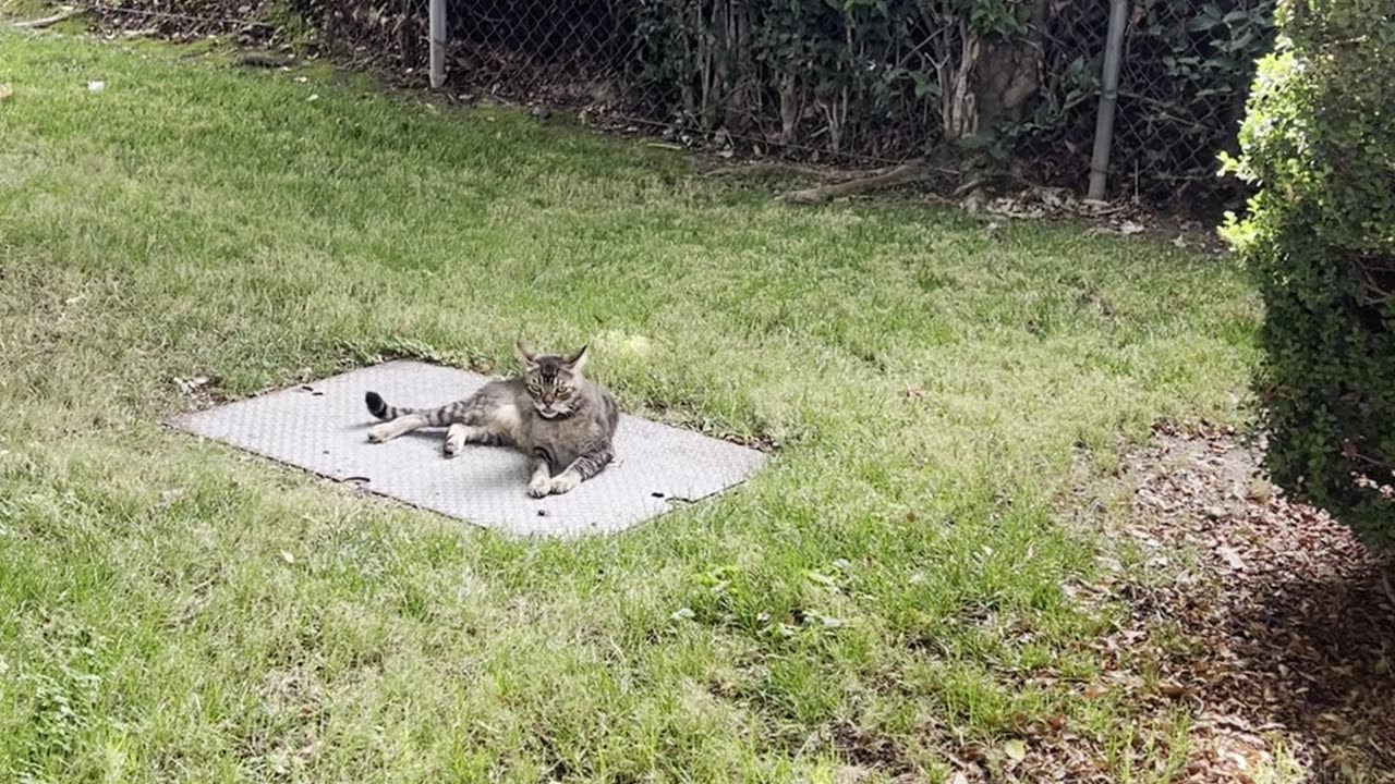 PRAISE JESUS🙏🏼 Another Beautiful Day!