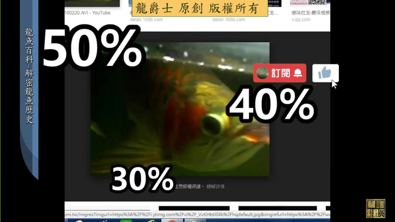 【龍爵士】龍魚百科 解密龍魚歷史 (1)