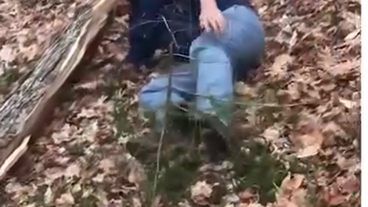 "Chainsaws vs Gravity: The Ultimate Showdown That Will Shock You!"