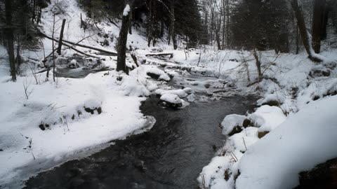 nature landscape river