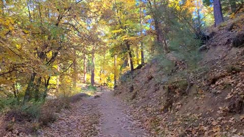 Hiking Mt. Laguna 11 - Redtail Roost